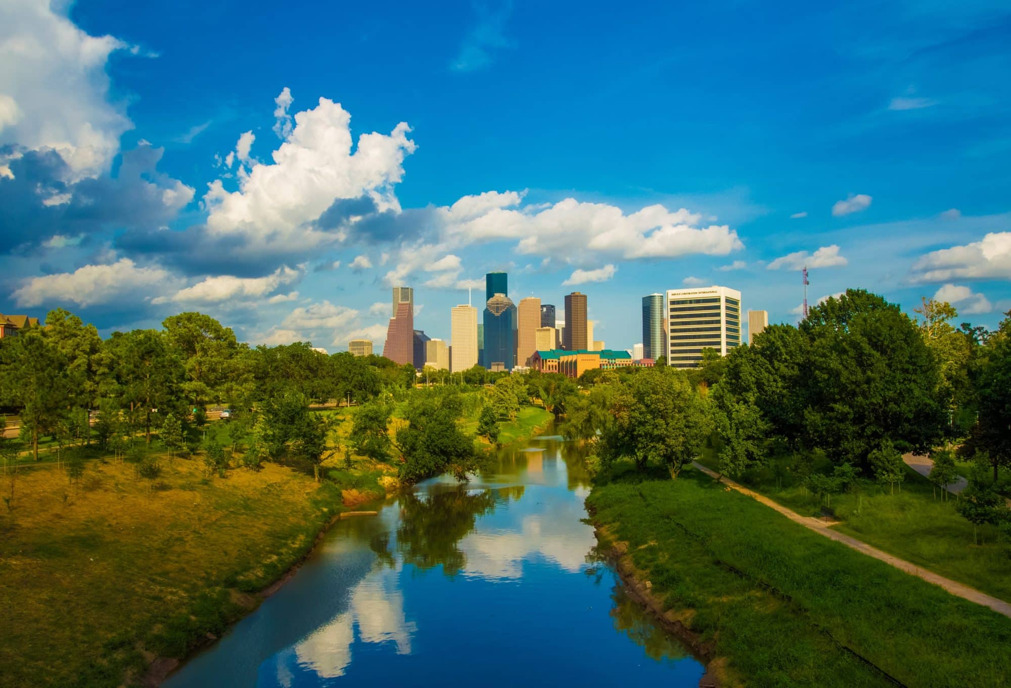 lush foreground with a view of the Houston skyline